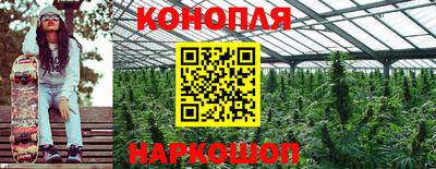 крисы Абинск