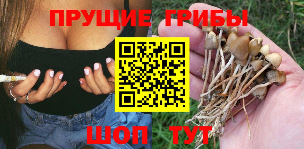 Галлюциногенные грибы MAGIC MUSHROOMS Апатиты