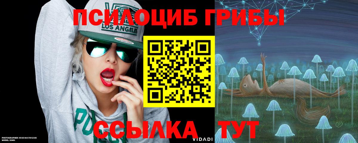 Галлюциногенные грибы прущие грибы  Вход с VPN  Псилоцибиновые грибы Magic Shrooms  дарнет шоп  Апатиты 